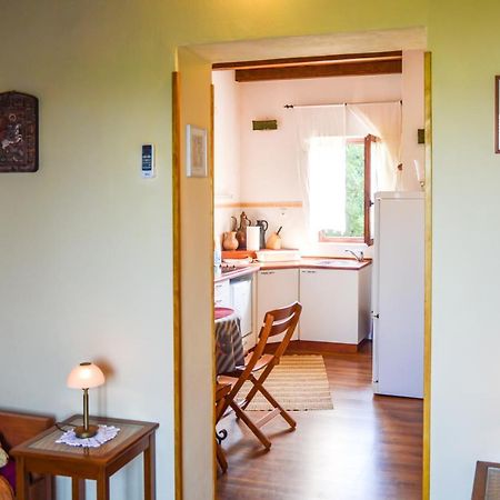 Apartment Zoja Pinezici  Bagian luar foto