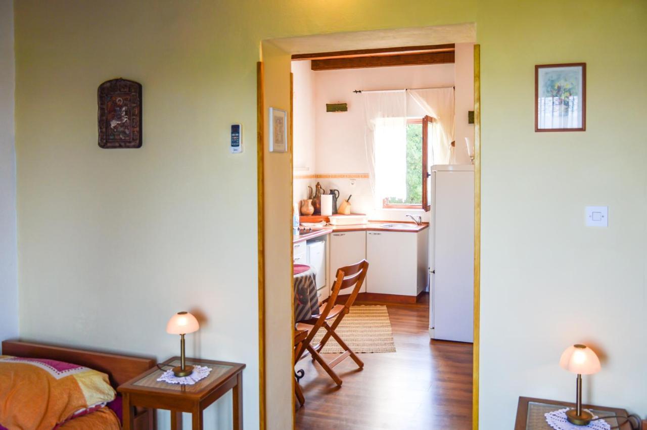 Apartment Zoja Pinezici  Bagian luar foto