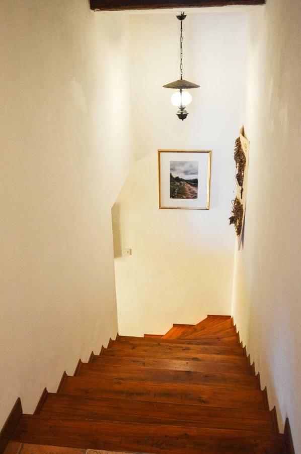 Apartment Zoja Pinezici  Bagian luar foto
