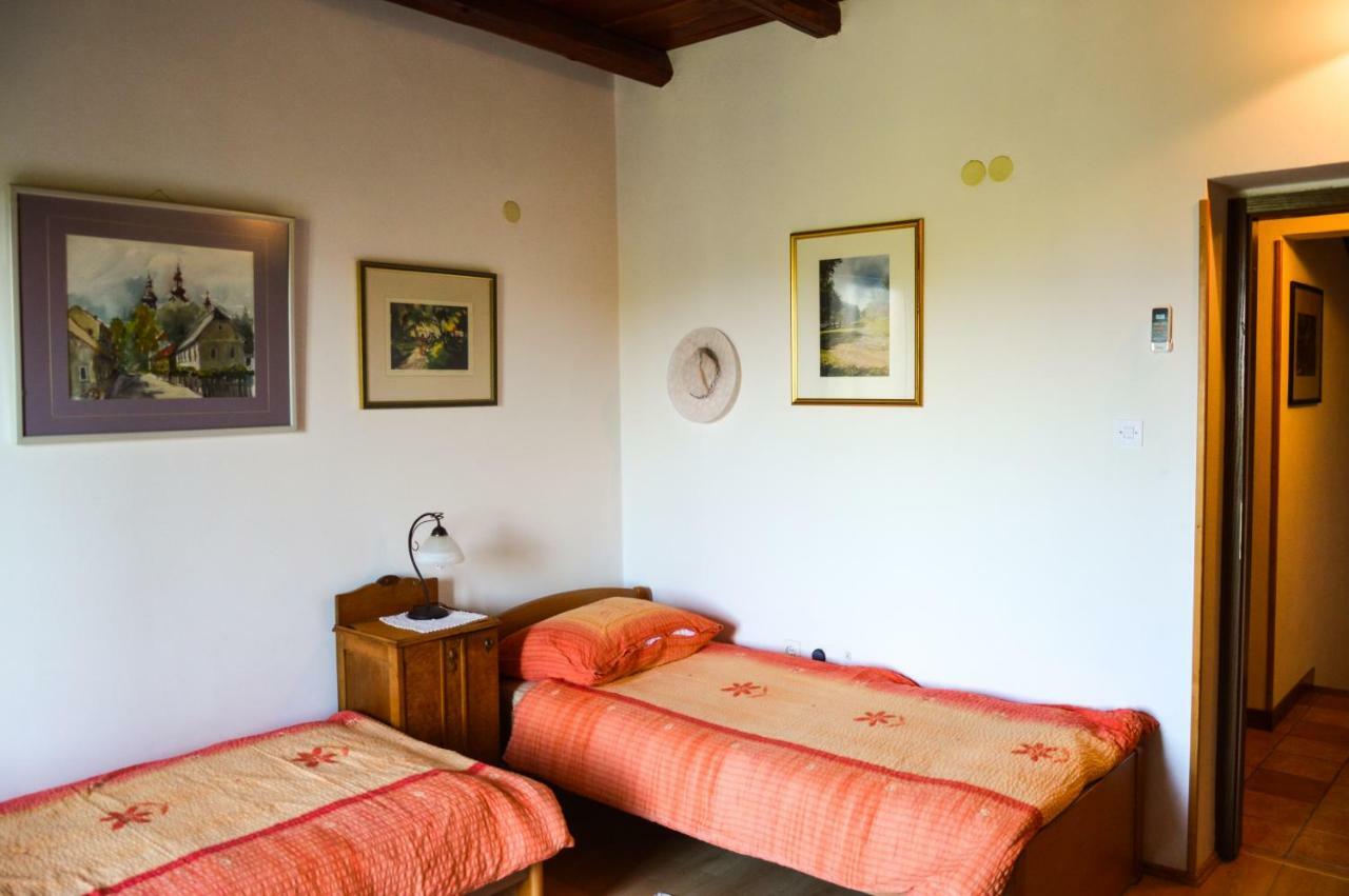 Apartment Zoja Pinezici  Bagian luar foto